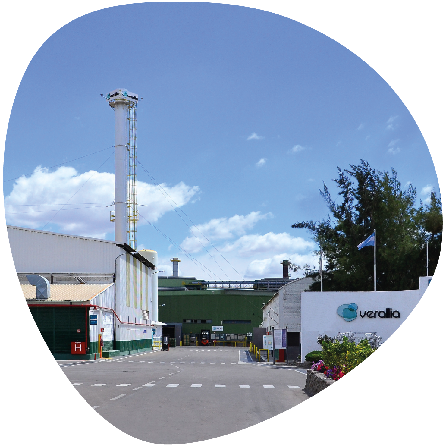 Verallia Argentina Juntos construimos el futuro
